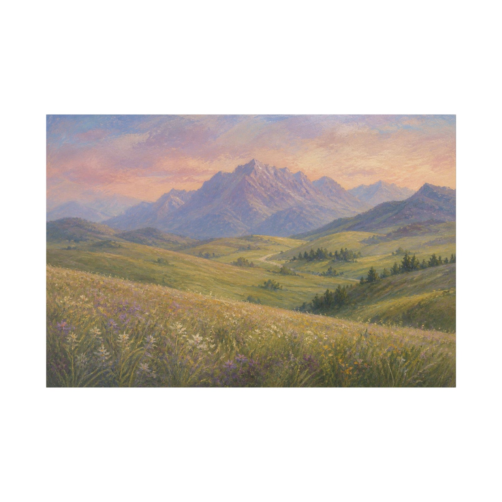 Mountain Meadow